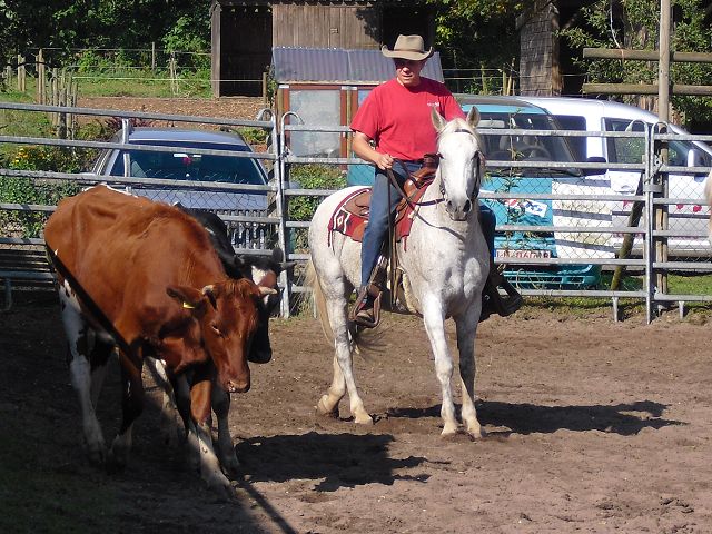 Lady beim Teampenning