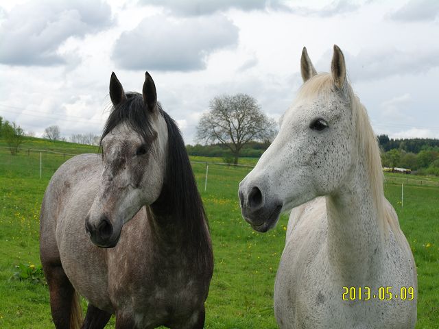 Choco Bueno und ihre Mum