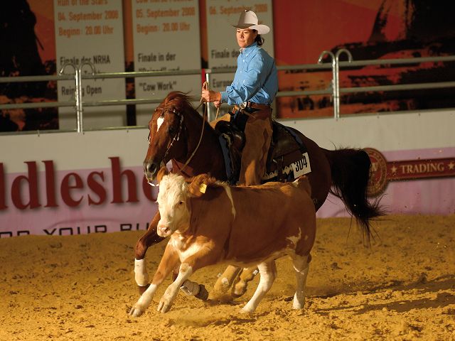 Docs Gun Cow Horse
